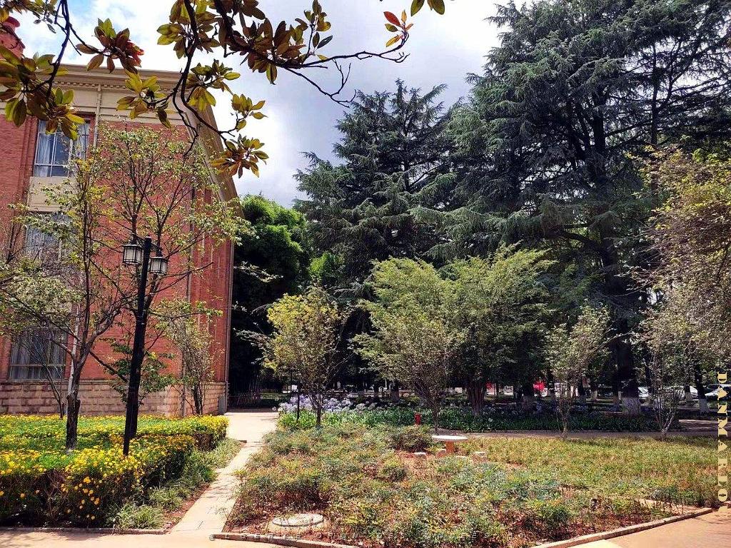 Kunming - Universite du Yunnan (51).jpg